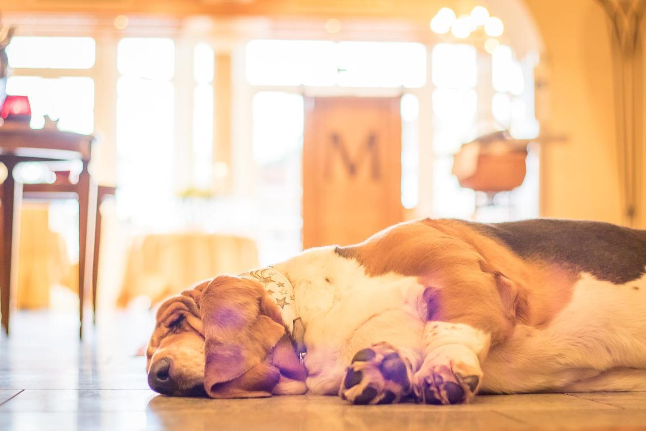 Hotel Magdalena Im Zillertal - Urlaub Mit Hund Рід-ім-Ціллерталь Екстер'єр фото